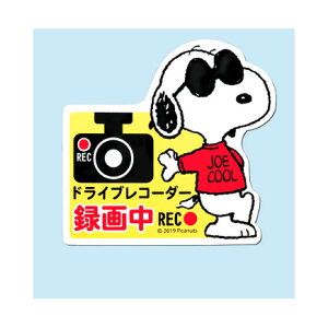 hCuR[_[}OlbgTCXk[s[SN191