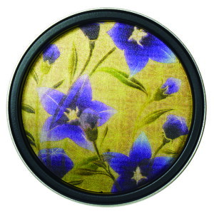 y؈zی^@aD_j[@hn-h-013@JtX}HЁ@i@1@j̋złi킢////_/̈/ӂ܂̈/˂̈j