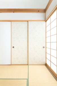 yzy{EazwaccaraybJzVܕtEЖʓ\ipjy璹@chidorimauz V܂̎dグ600mmE̎d㍂1910mm@d㕝?920mm