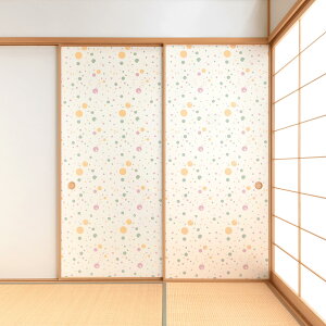 yzy{Eazwaccara(bJjʓ\ipjylG shikiararezd㕝`920mm