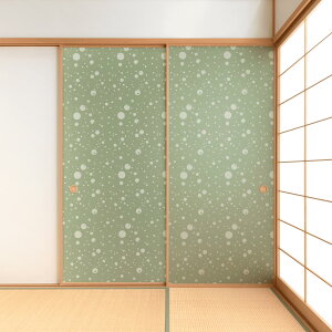 yzy{EazwaccaraybJzЖʓ\ipjylG shikiarare zd㕝`920mm