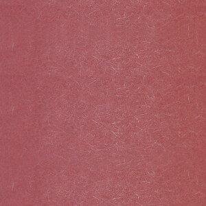 ӂ܎w낢x - JtX}H/TF-101i97cm×191cmj@ m@