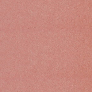 ӂ܎w낢x - JtX}H/TF-102i97cm×191cmj@ m@