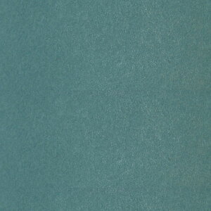 ӂ܎w낢x - JtX}H/TF-105@/ @؂蔄i97cm×Dȃ[gj@ m@