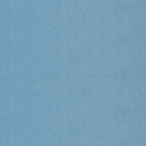 ӂ܎w낢x - JtX}H/TF-109i97cm×191cmj@ m@