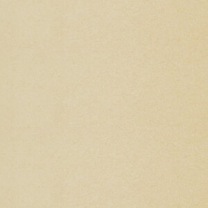 ӂ܎w낢x - JtX}H/TF-110 䒷@i97cm×212cmj@ m@