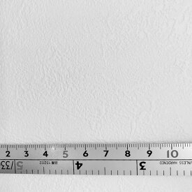 【のり無し】SP2838　サンゲツ 壁紙 クロス　※1メートル当たりの金額