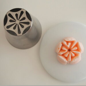 NHK܂Ǐ񎺂ŏЉ̌  Pi No13 io摜 t[3D VAmY