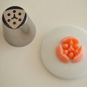 NHK܂Ǐ񎺂ŏЉ̌  Pi No4 io摜 t[3D VAmY