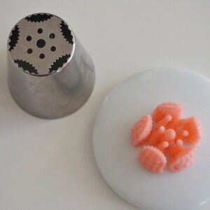 NHK܂Ǐ񎺂ŏЉ̌  Pi No6 io摜 t[3D VAmY