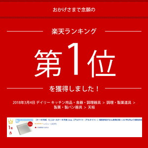 ミニロールケーキ天板24cm