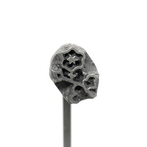 Ĉ Ă No38    | Ă Hp p aَq ܂񂶂イ \ ǂĂ ǂ₫