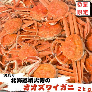 【訳あり】 オオズワイガニ 姿 足折れ 2kg(およそ6尾〜13尾)小サイズ 大容量 北海道産 ボイル 送料無料 冷凍 かに 蟹 カニ 海鮮鍋 鍋 だし 出汁 噴火湾 函館 ご褒美