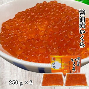  ݖ 500g(250g×2)  kCY CN ݖ   kC ܂  瘥 pX^