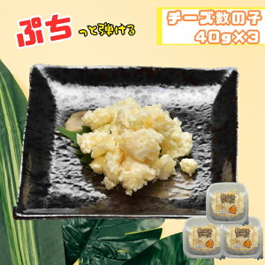 ̎q`[Y@40g×3Zbg@̎q`[Y@`[Y@[@̎q@̂@܂݁@Ⓚ@HׂTCY