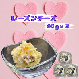 レーズンチーズ 40g×3個セット おつまみ お菓子 おしゃれ 女子会 チーズ レーズン アーモンド オレンジピール