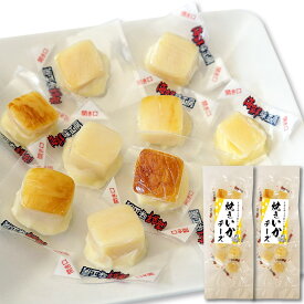 焼きイカ チーズ 75g×2袋 おつまみチーズ チーズイン イカ おやつ チーズ かわいい キューブ 個包装 大容量 業務用
