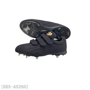 VAvCSURE PLAY (VAvC) 싅XpCN ߍݎ 3{}WbNxgSBS-AS260