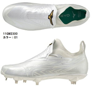 ~Ym XpCN Cg{v XpCN yV|Cg10{  GS 싅 11GM230001