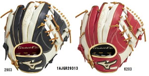 ~Ym O[oG[gFCollection Ou p4^6FTCY9 1AJGR29313