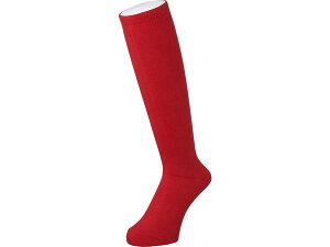 AVbNXylR|X͑wszyňlɒzasics(AVbNX)싅@\tg{[@Jr.J[\bNX[BAE51J]