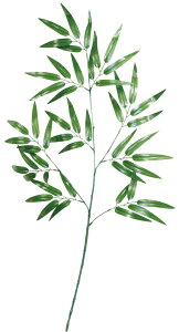 ou[XvC [ Ȃ΂  fBXvC   Ղ 