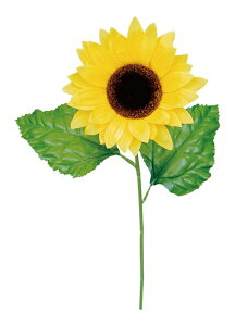 Tt[XtC(S) Ђ܂   fBXvC Ղ 