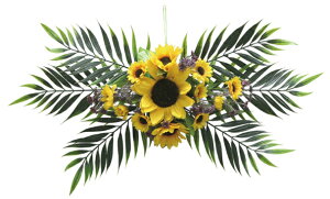 Ђ܂Ǌ| Ђ܂   fBXvC Ղ 