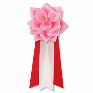 {oJ {J  sN Pi T  p[eB Cxg ^ Nbvt op{ { J {o L j I w Ǝ ^ N vH 