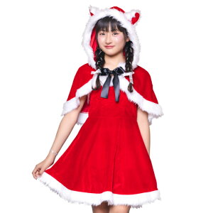 [vtFA[ ˂P[vT^  p[eB p[eB[ObY ] RX`[ RXv Aj ߑ NX}Xp[eB[