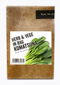 n[uxW CobO HERBVEGE IN BAG  n[u   ͔| ͔|Zbg ͔|Lbg ƒ؉ Lb`K[fjO K[fjO G v`Mtg
