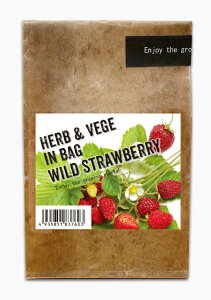 n[uxW CobO HERBVEGE IN BAG ChXgx[   n[u   ͔| ͔|Zbg ͔|Lbg ƒ؉ Lb`K[fjO K[fjO G v`Mtg