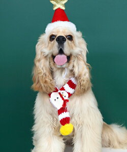 NX}X}t[ 45cm bh×zCg 񂿂 lR p Lp ybg ȈՉ y NX}X  L ʂݗp ʂ NX}XJ[ EȒP ~p jbg hbOE