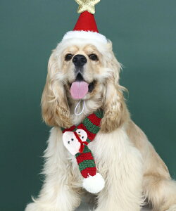 NX}X}t[ 45cm bh×O[ 񂿂 lR p Lp ybg ȈՉ y NX}X  L ʂݗp ʂ NX}XJ[ EȒP ~p jbg hbOE