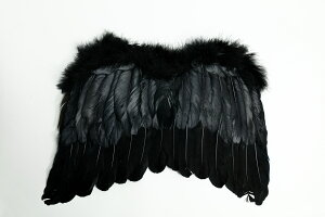 天使の羽 黒 天使 悪魔 コスプレ コスチューム ハロウィン パーティー 妖精 コスプレ 翼 羽根 演劇 舞台 文化祭 学園祭 仮装 変装 衣装 小道具