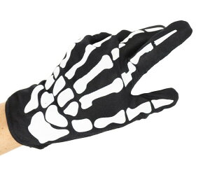 XPgO[u V[g [ XJ  nEB RXv  p[eB[ObY  ϑ   Cxg p[eB ϑObY