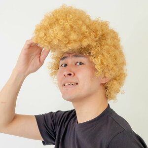 �~���N�����[�[���g �S�[���h ���� �E�B�b�O �L�����N�^�[�� ���Ԃ���� �R�X�v�� ������ ���� �ϑ� ���� �p�[�e�B�[ �C�x���g �n���E�B�� �p�[�e�B�[�O�b�Y