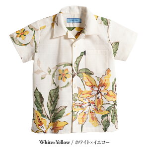 䂵EFA {   lC     䂵 Vc J LbY AnVc An MAJUN }W majun Mtg v[g |bsOc[iLbYVc)