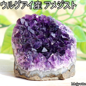  AWXg EOACY  ̂Ђɂ̂TCY y42mm×56mm×54mm 163.5gz lC   Q rO JE^[ u x p[v AWXg VR    