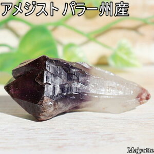 AWXg uW p[BY y28mm×52mm×22mm 21.2gz i` _K[ |Cg   2a  AWXg VR    q[OXg[  Q rO JE