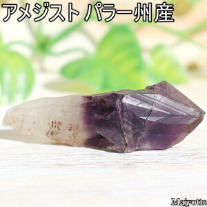 AWXg uW p[BY y22mm×54mm×20mm 15.3gz i` _K[ |Cg   2a  AWXg VR    q[OXg[  Q rO JE