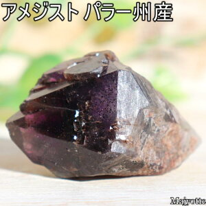 AWXg uW p[BY y29mm×48mm×26mm 31.6gz i` _K[ |Cg   2a  AWXg VR    q[OXg[  Q rO JE