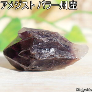 AWXg uW p[BY y24mm×43mm×21mm 19.8gz i` _K[ |Cg   2a  AWXg VR    q[OXg[  Q rO JE