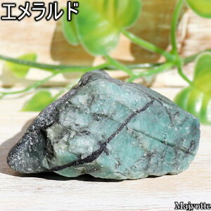 Gh uWY ̂Ђɂ̂TCY y57mm×67mm×31mm 120.0gz _   vl El x VR   q[OXg[ Sg Q rO  C