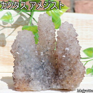 JN^XAWXg Xsbg ChY y57mm×91mm×97mm 420.3gz T{eAWXg   2a  AWXg VR    q[OXg[  Q rO J