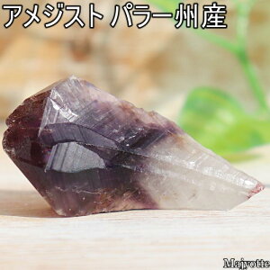 AWXg uW p[BY y26mm×49mm×17mm 17.3gz i` _K[ |Cg   2a  AWXg VR    q[OXg[  Q rO JE