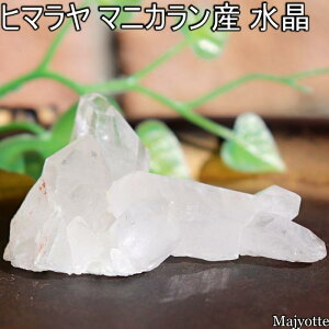 q} }jJY  y41mm×60mm×29mm 35.2gz   ~jNX^[ g GlM[ oX C VR  q[OXg[ Q rO  CeA JE^[ 