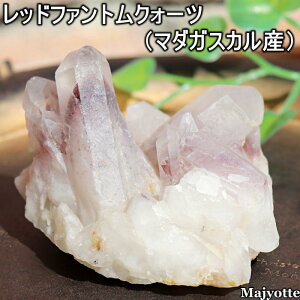 ���b�h�t�@���g���N�H�[�c �}�_�K�X�J���Y �y56.9mm×70.2mm×51.8mm 158.9g�z �t�@�C���[�N�H�[�c �v�z ���� ���M �O�i ���P �ω� �T�|�[�g �� �q�[�����O�X�g�[�� �Q�� ���r���O ���� �C���e���A 