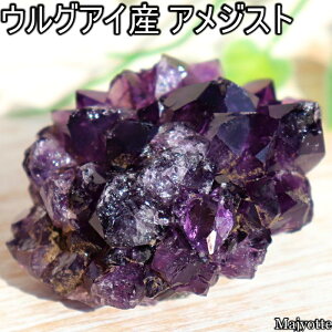 AWXg EOACY cu y31mm×59mm×38mm 76.3gz lC   Q rO JE^[ u x p[v AWXg VR     2a 