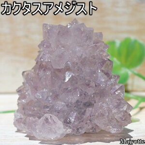 JN^XAWXg Xsbg ChY y51.5mm×57.7mm×52.4mm 136.9gz T{eAWXg   2a  AWXg VR    q[OXg[  Q r